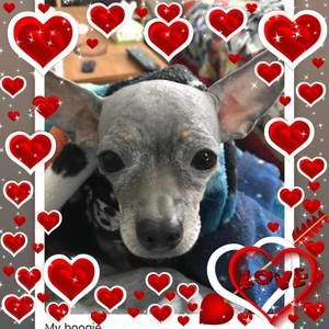 Meet your Posher, Donna